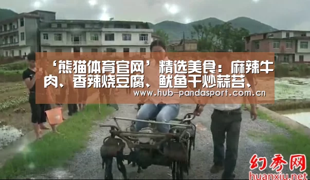 熊猫体育官网