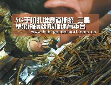 5G手机扎堆赛道拥挤 三星苹果渐暗淡|熊猫体育平台(图2) 熊猫体育平台