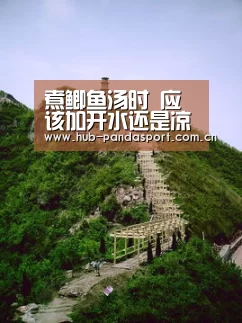 煮鲫鱼汤时 应该加开水还是凉水?大厨教你一招 保证鱼鲜汤白!【熊猫体育官网】(图1) 熊猫体育